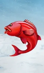 Ice Fishing